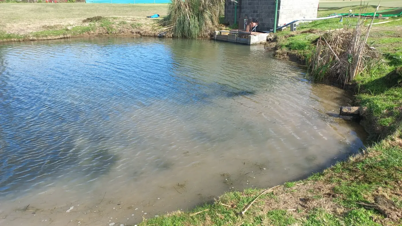 Laguna con agua clara después del tratamiento